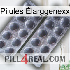 Pilules Élarggenexx 31